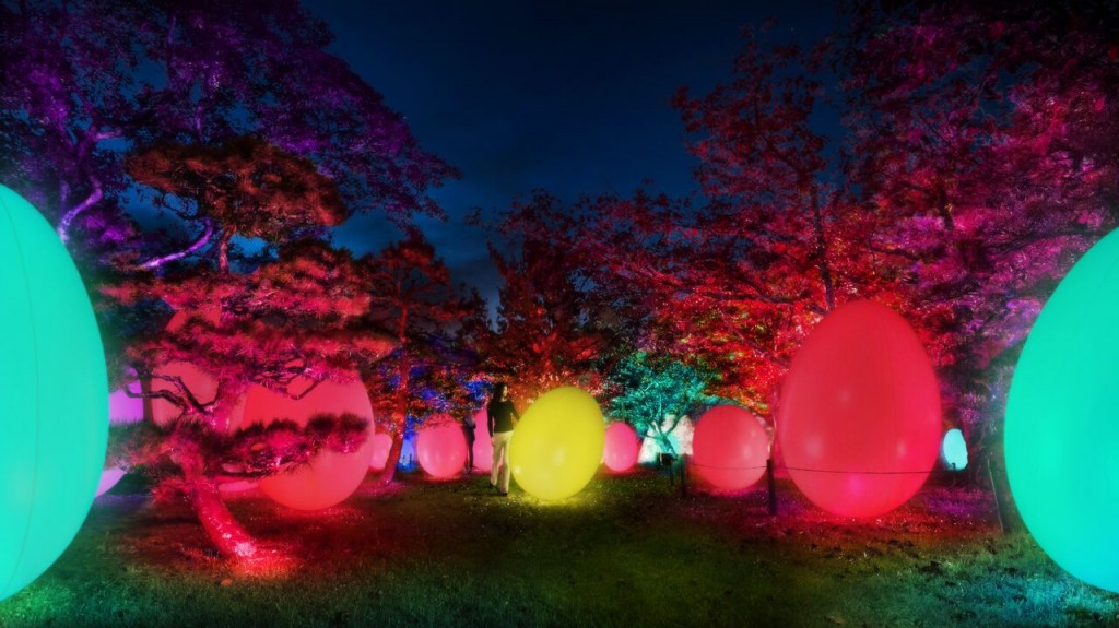 TeamLab Light Festival In Fukuoka Castle Ruins The Official Guide To