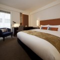 Superior Room / Complete with 160 cm Wide Queen Size Bed 
