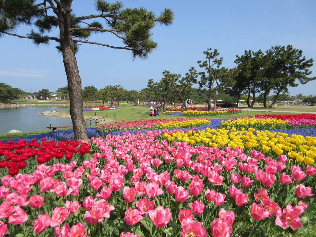 海の中道海浜公園 福岡 博多の観光情報が満載 福岡市公式シティガイド よかなび