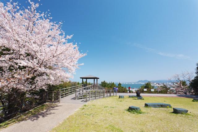 福岡の桜の名所とイベント紹介 福岡 博多の観光情報が満載 福岡市公式シティガイド よかなび