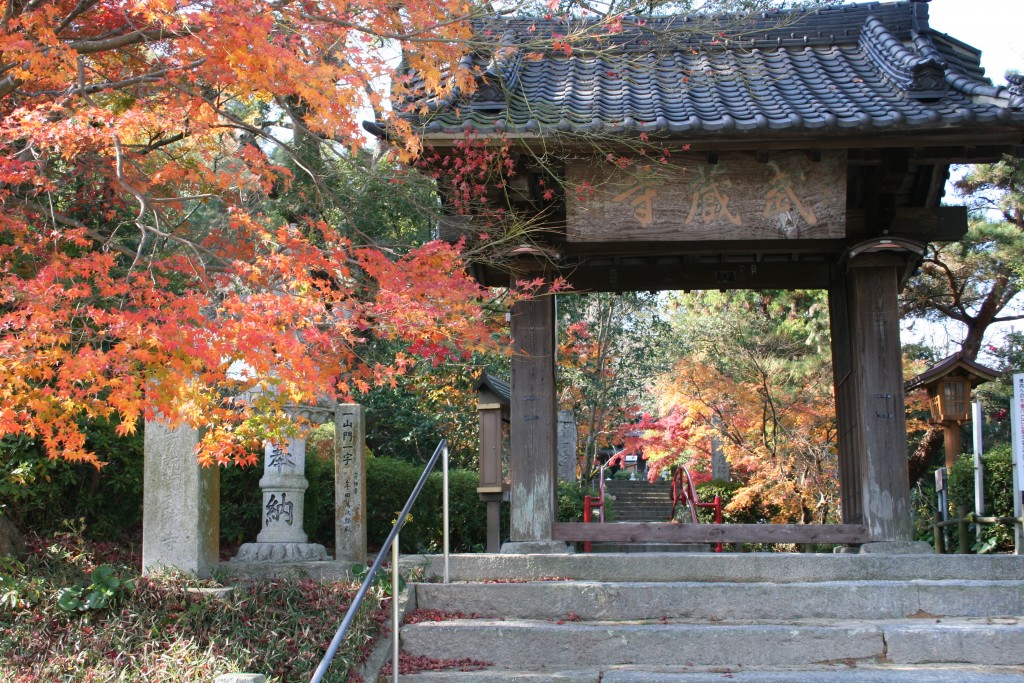 武蔵寺（ぶぞうじ） | 福岡・博多の観光情報が満載！福岡市公式シティガイド よかなび