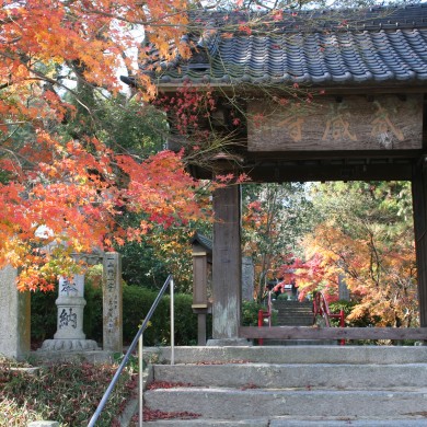武蔵寺門