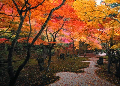 Komyozenji temple