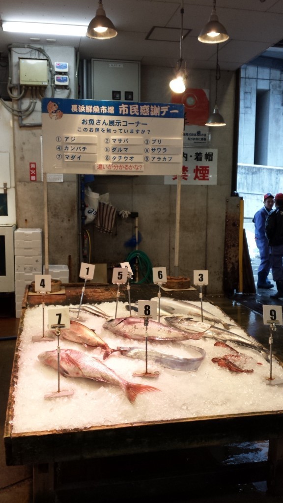 第130回 長浜鮮魚市場 市民感謝デー 長浜鮮魚市場 マグロの解体ショーに鮮魚の販売 お寿司握り体験も 19年4月 福岡 博多の観光情報が満載 福岡市公式シティガイド よかなび