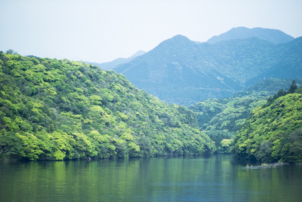 透き通る安房川