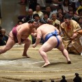 写真提供：公益財団法人日本相撲協会