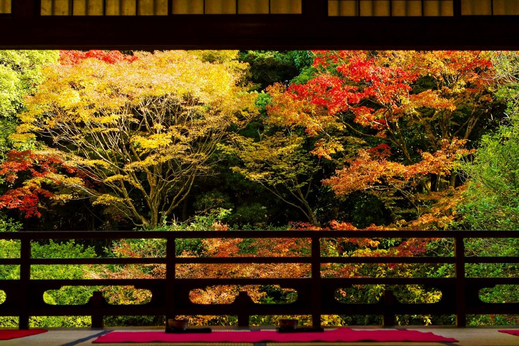 これぞ日本の秋風景 美しく色づく福岡の 紅葉スポット 福岡 博多の観光情報が満載 福岡市公式シティガイド よかなび