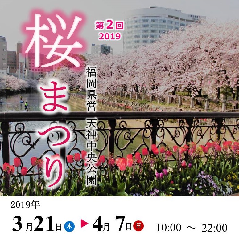 第2回 天神中央公園 桜まつり19 桜や噴水をライトアップ グルメブースも充実 福岡 博多の観光情報が満載 福岡市公式シティガイド よかなび