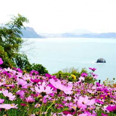 Nokonoshima Island―A Trip to Enjoy the Great Nature