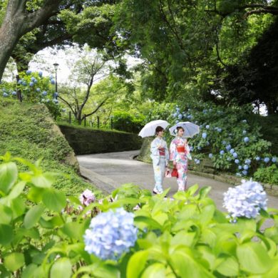 拍下紀念美照! 四季花卉繽紛的福岡城