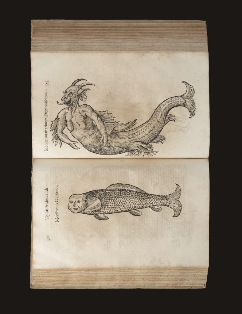 ウリッセ・アルドロヴァンディ『怪物誌』（1642年）　国立民族学博物館蔵　撮影：大道雪代