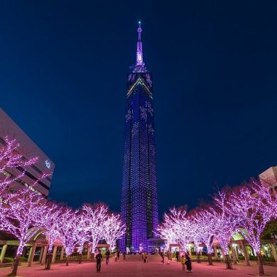 福岡タワー35周年感謝祭「桜まつり」【福岡タワー】2024年　～開業35周年 …