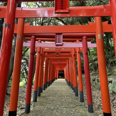 夏のおすすめ【福岡市東区】フォトジェニックスポット5選！