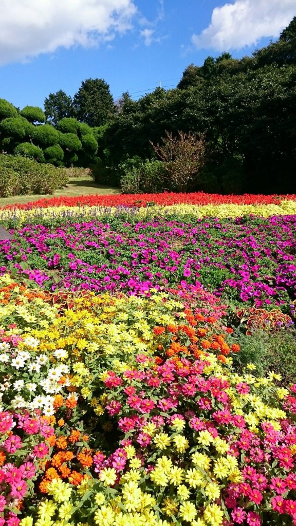 Colors of Japan