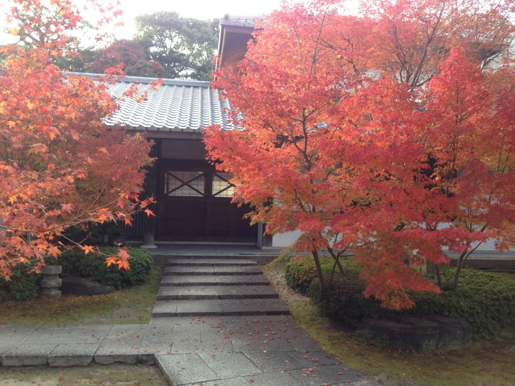 古刹興徳寺の紅葉