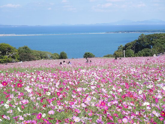 Nokonoshima Island Park