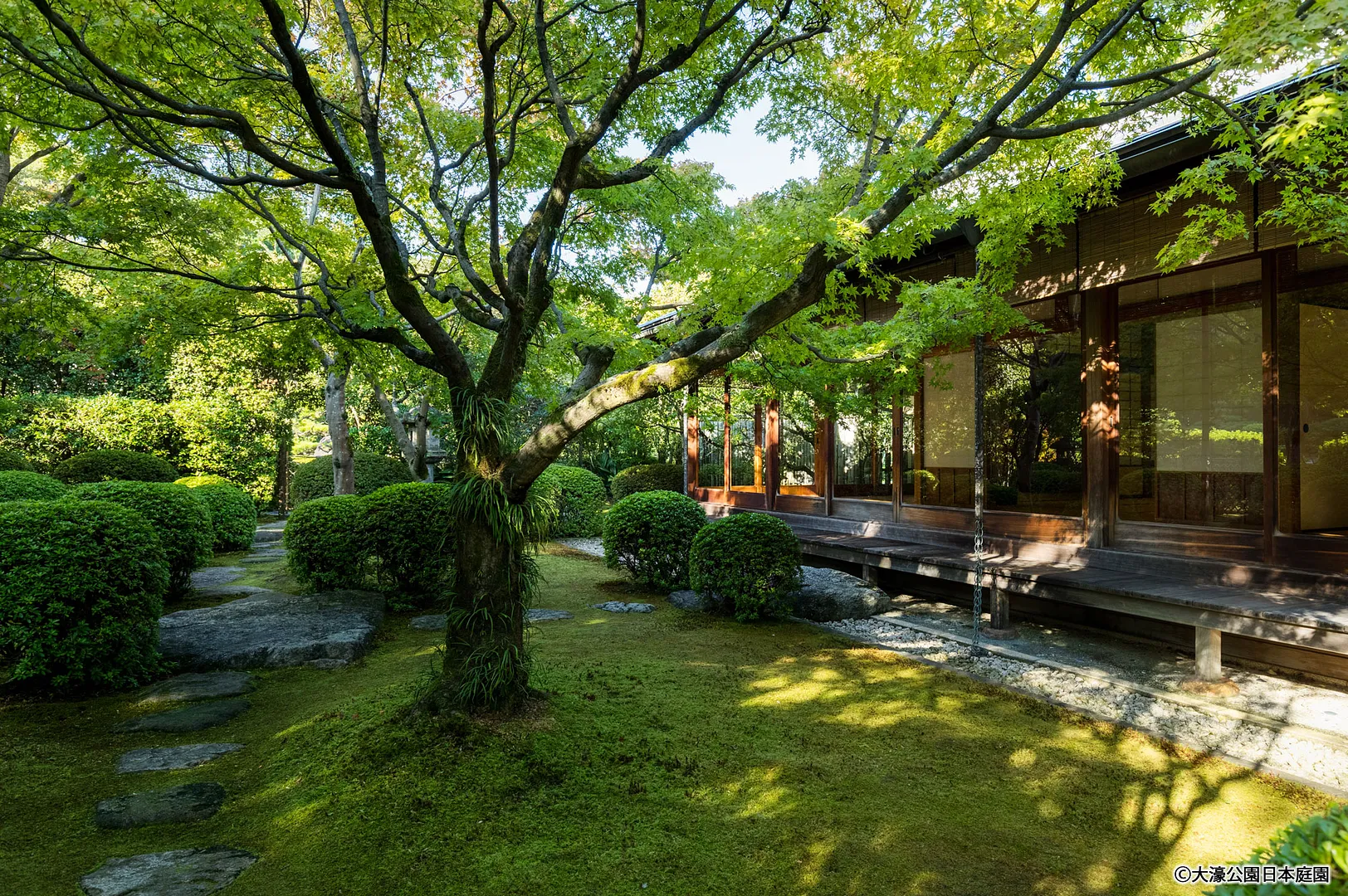 大濠公園日本庭園　茶会館　外観