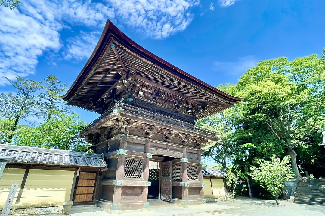 【香椎宮×筥崎宮】福岡東の旧官幣社めぐりで運気アップ旅4