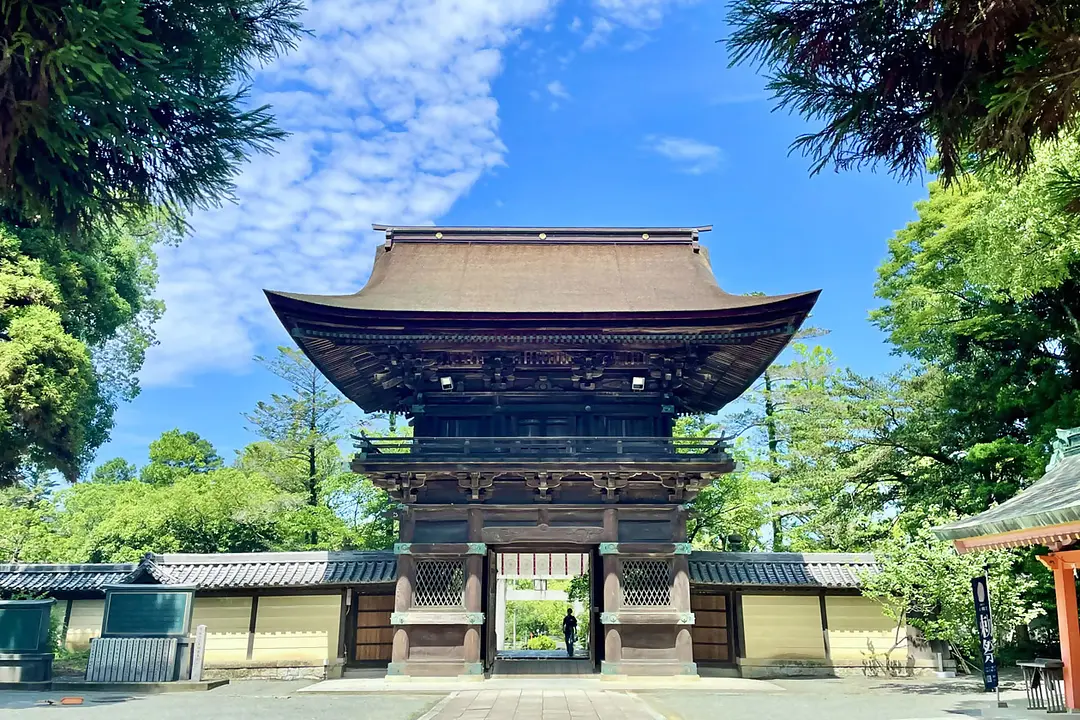 【香椎宮×筥崎宮】福岡東の旧官幣社めぐりで運気アップ旅5