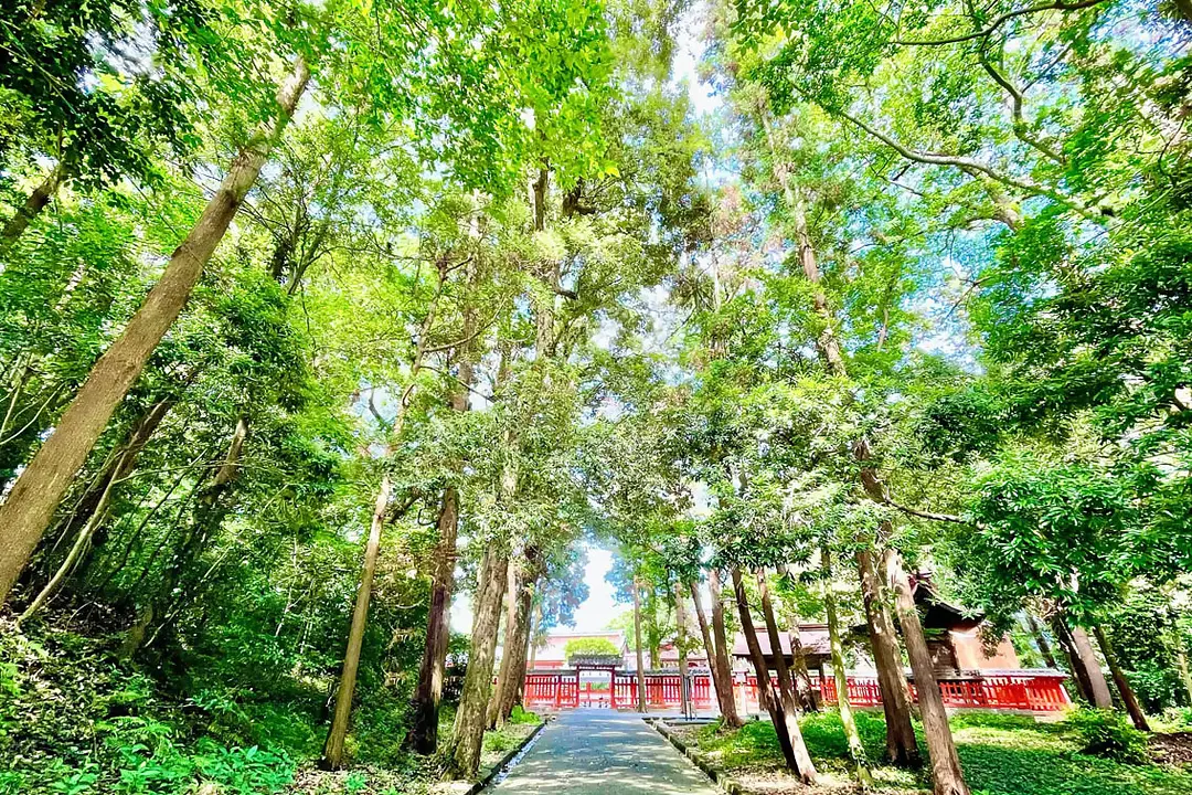 【香椎宮×筥崎宮】福岡東の旧官幣社めぐりで運気アップ旅13