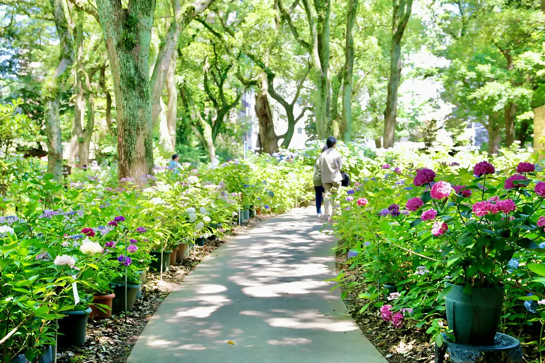 【香椎宮×筥崎宮】福岡東の旧官幣社めぐりで運気アップ旅40