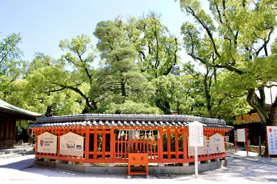 【香椎宮×筥崎宮】福岡東の旧官幣社めぐりで運気アップ旅45