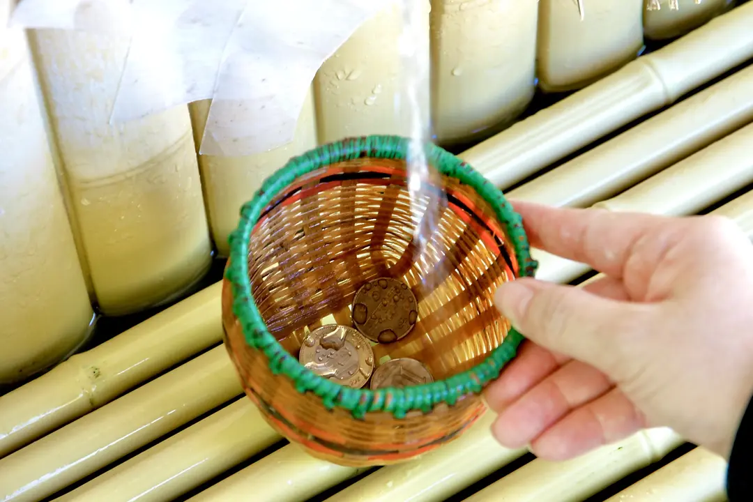 【香椎宮×筥崎宮】福岡東の旧官幣社めぐりで運気アップ旅46