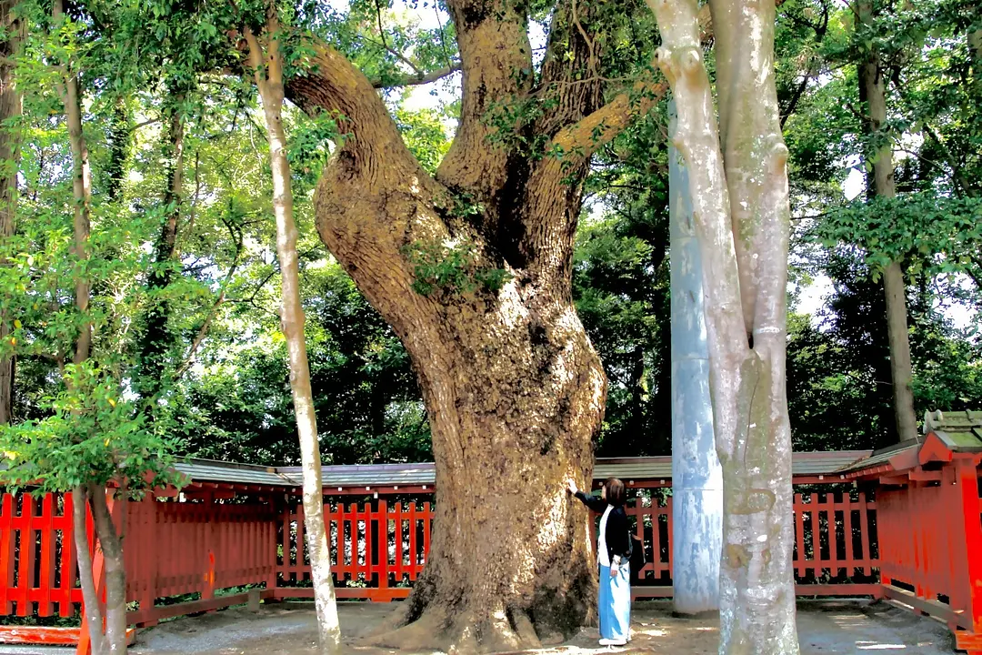 【香椎宮×筥崎宮】福岡東の旧官幣社めぐりで運気アップ旅20