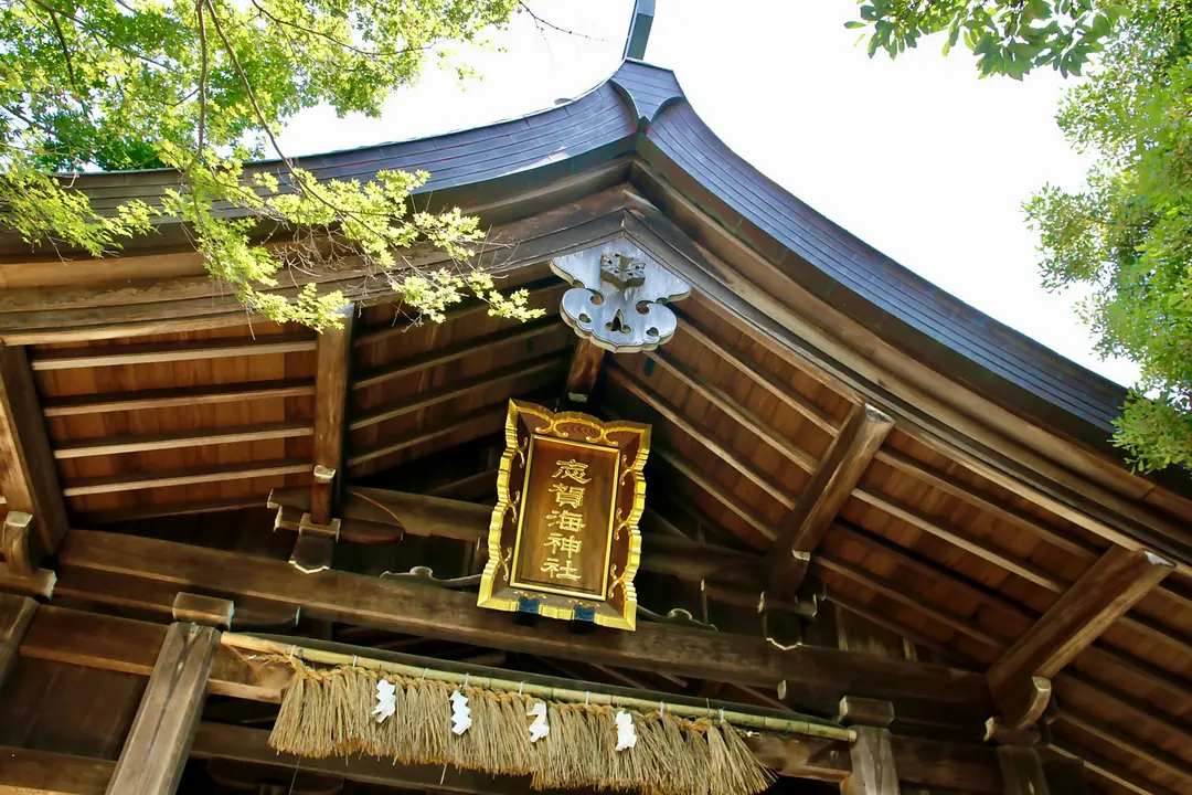 【志賀海神社×住吉神社】旧官幣小社で心洗う福岡リフレッシュ旅9