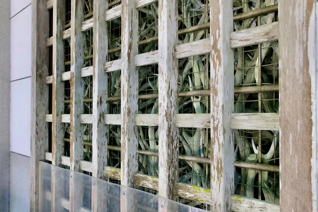 【志賀海神社×住吉神社】旧官幣小社で心洗う福岡リフレッシュ旅14