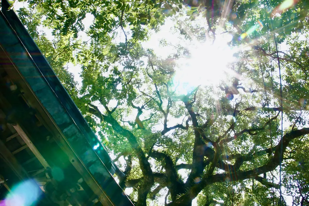 【志賀海神社×住吉神社】旧官幣小社で心洗う福岡リフレッシュ旅16