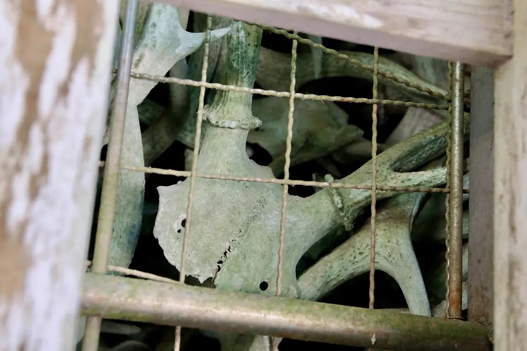 【志賀海神社×住吉神社】旧官幣小社で心洗う福岡リフレッシュ旅15