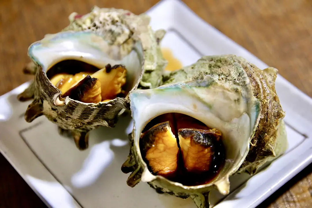 【志賀海神社×住吉神社】旧官幣小社で心洗う福岡リフレッシュ旅35