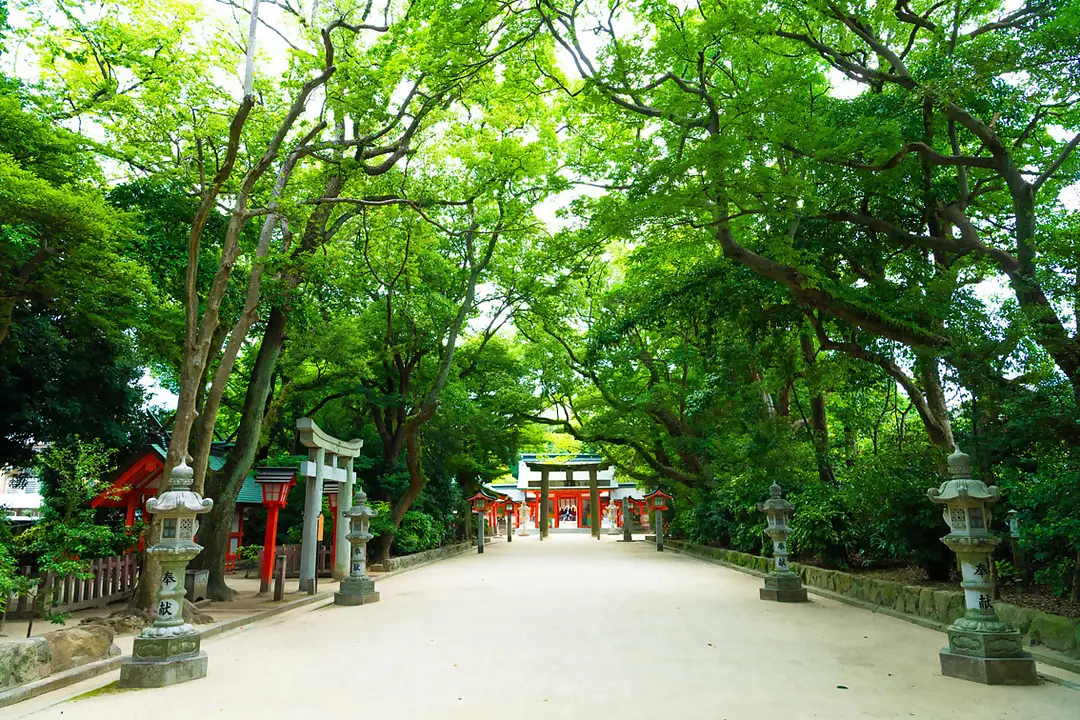 【志賀海神社×住吉神社】旧官幣小社で心洗う福岡リフレッシュ旅40