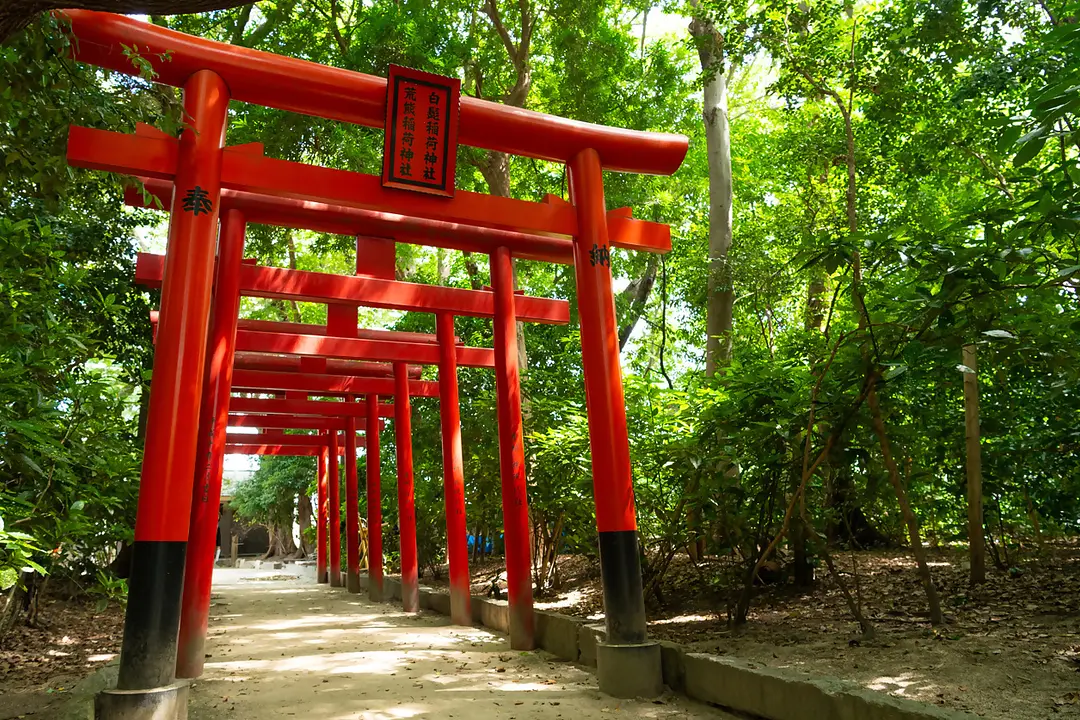 【志賀海神社×住吉神社】旧官幣小社で心洗う福岡リフレッシュ旅46