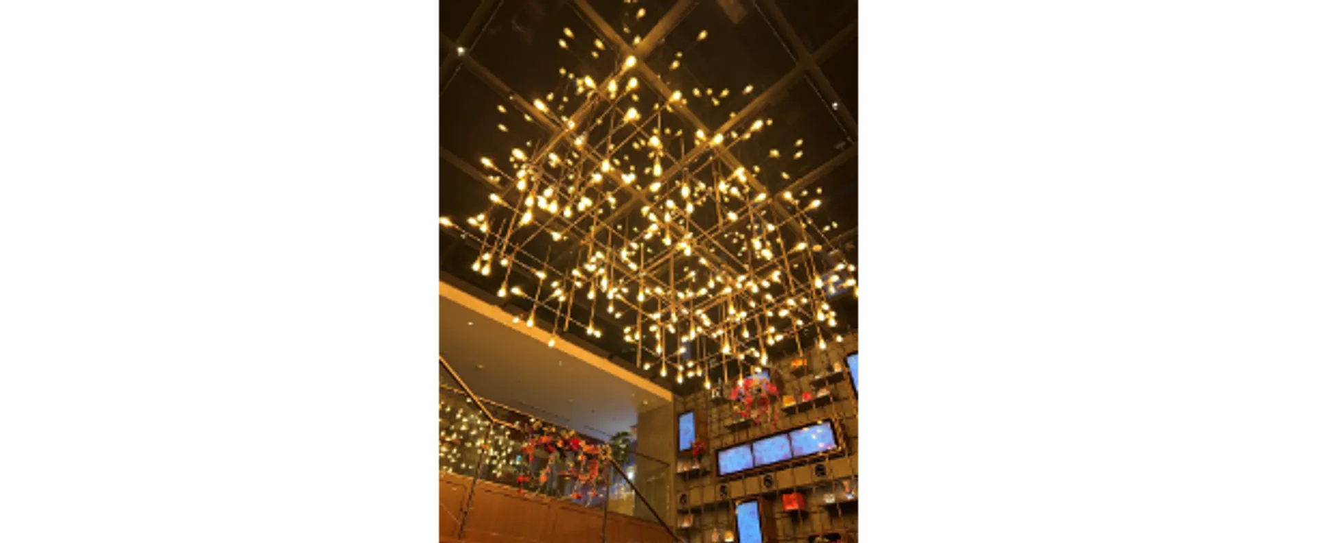 ライブリー (1).jpg