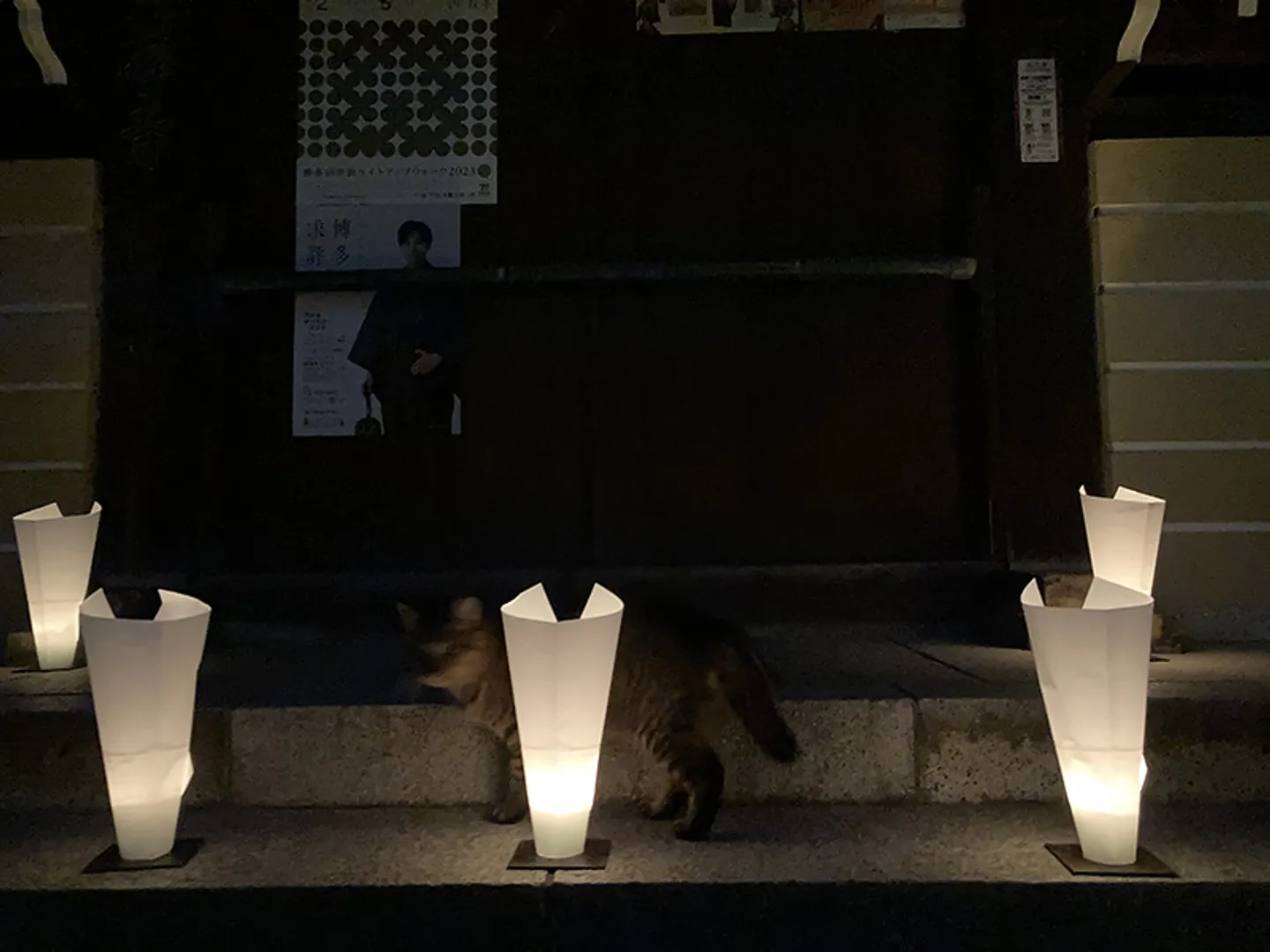 ※画像は過去開催時のもの