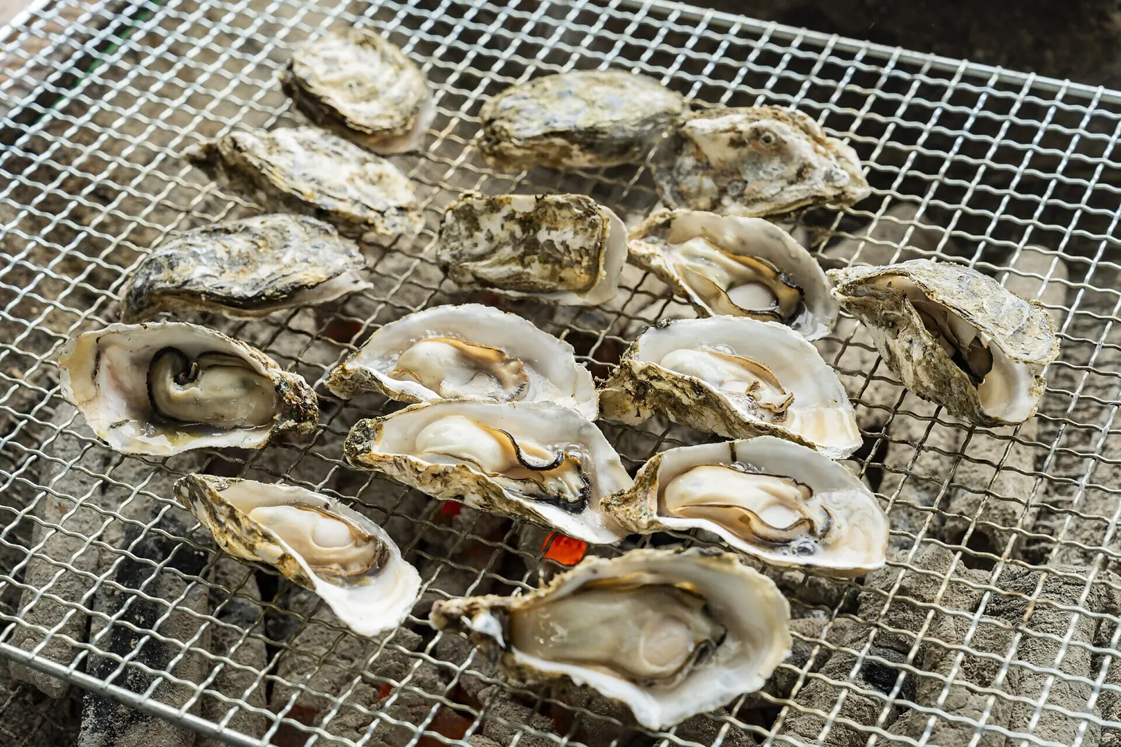 唐泊恵比須かき小屋