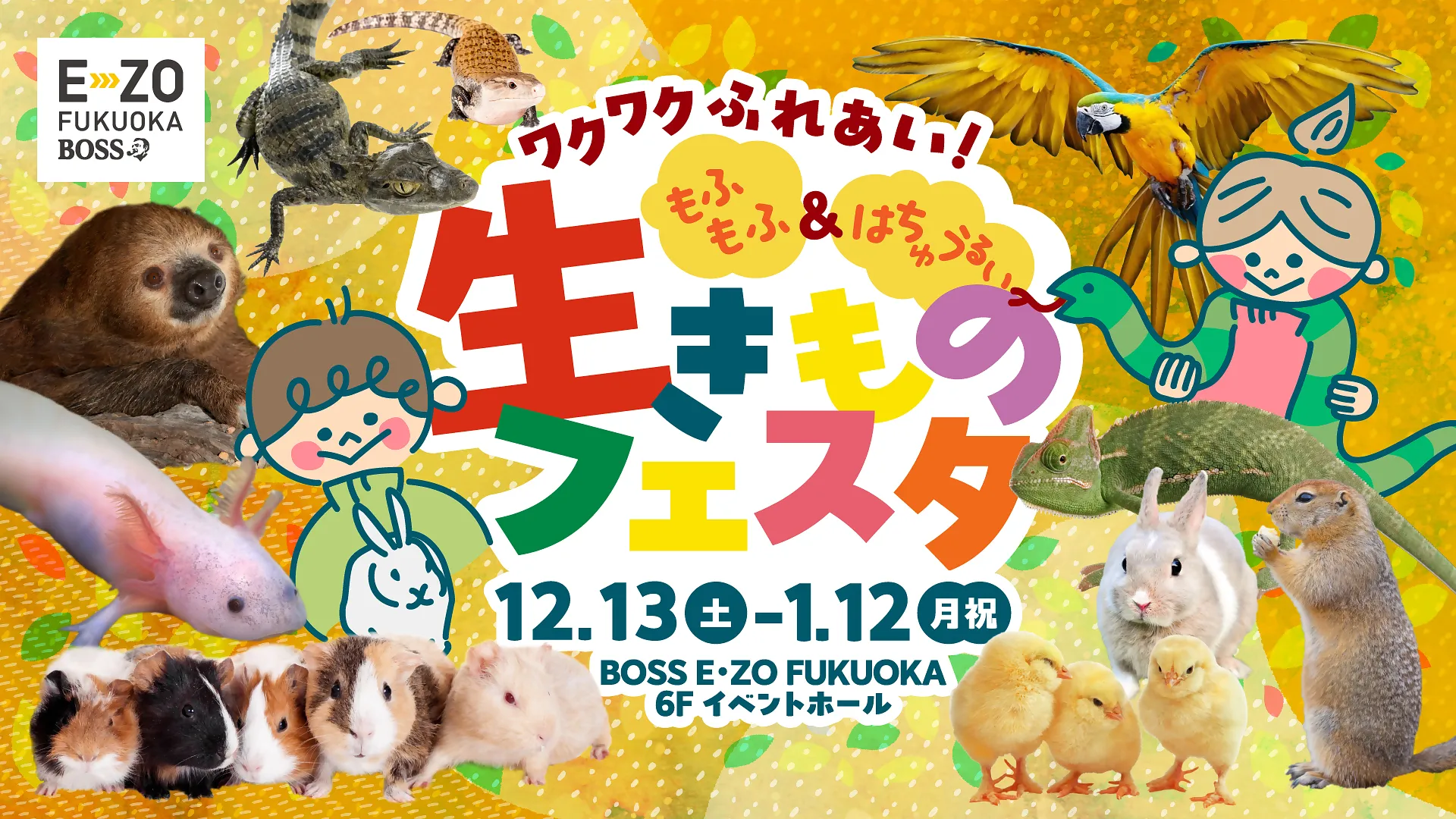 【FIX版】EZO生きものフェスタ2025KV.jpg