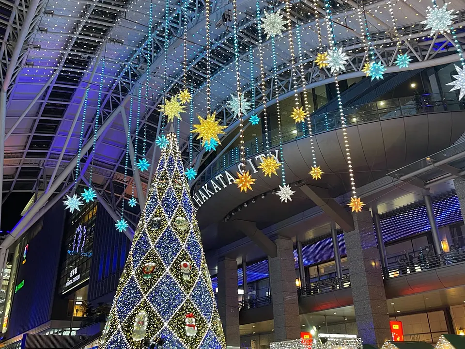 光の街・博多2025 クリスマスツリー