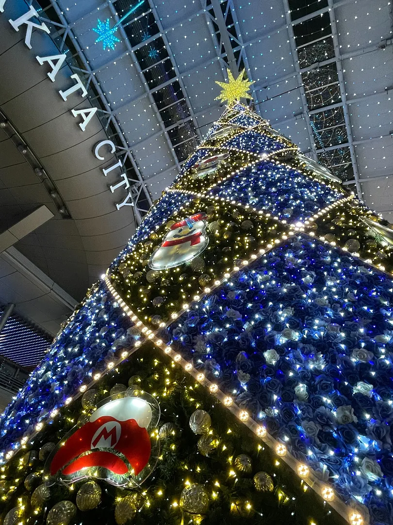 光の街・博多　クリスマスツリー　2025