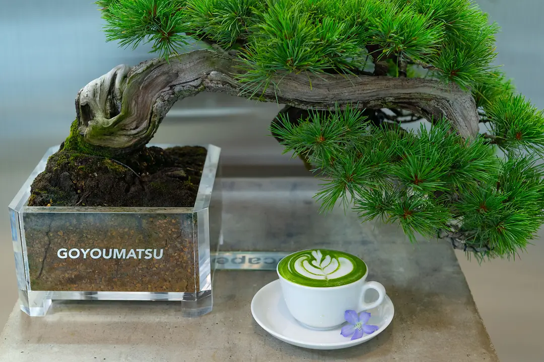 【志賀海神社×住吉神社】旧官幣小社で心洗う福岡リフレッシュ旅59