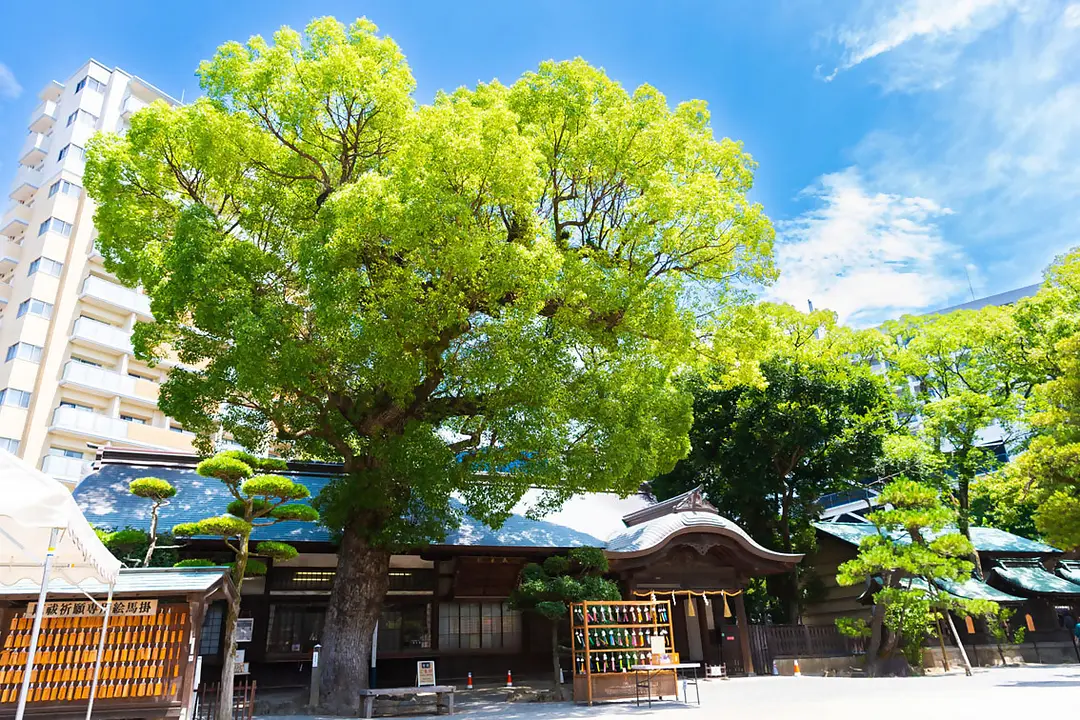 【志賀海神社×住吉神社】旧官幣小社で心洗う福岡リフレッシュ旅58