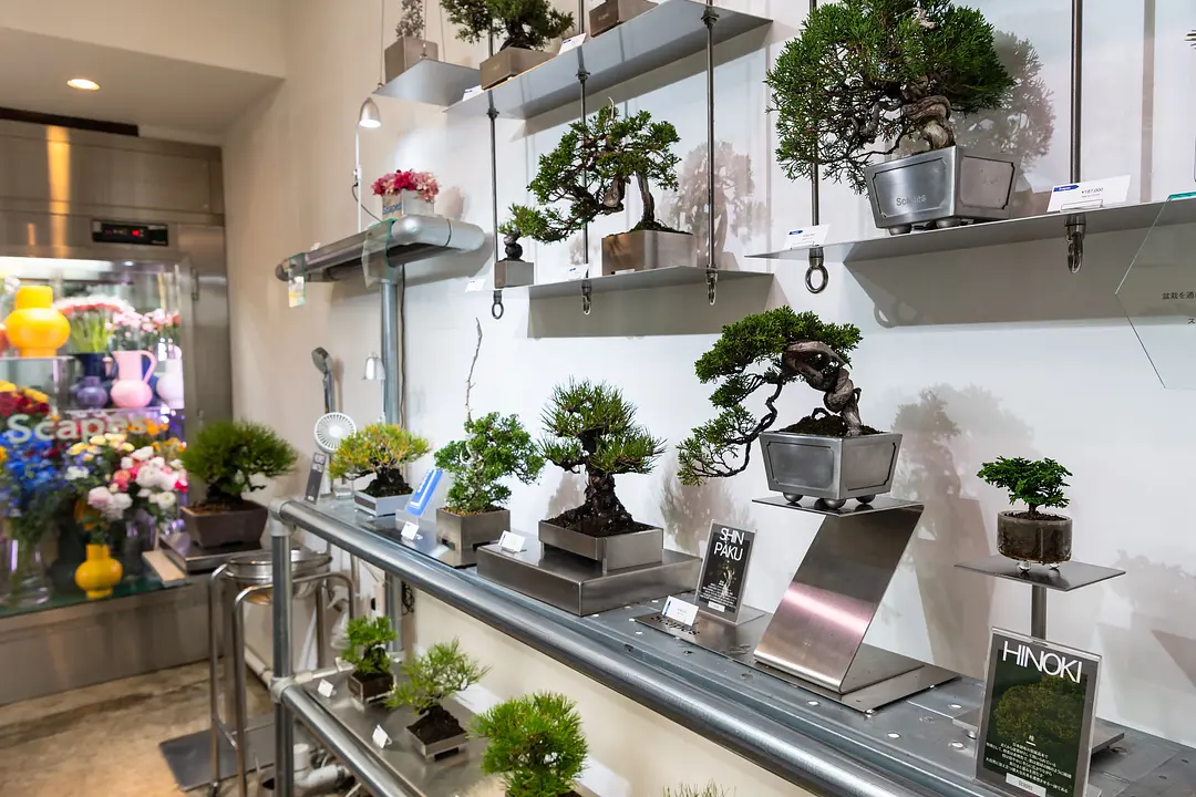 【志賀海神社×住吉神社】旧官幣小社で心洗う福岡リフレッシュ旅60