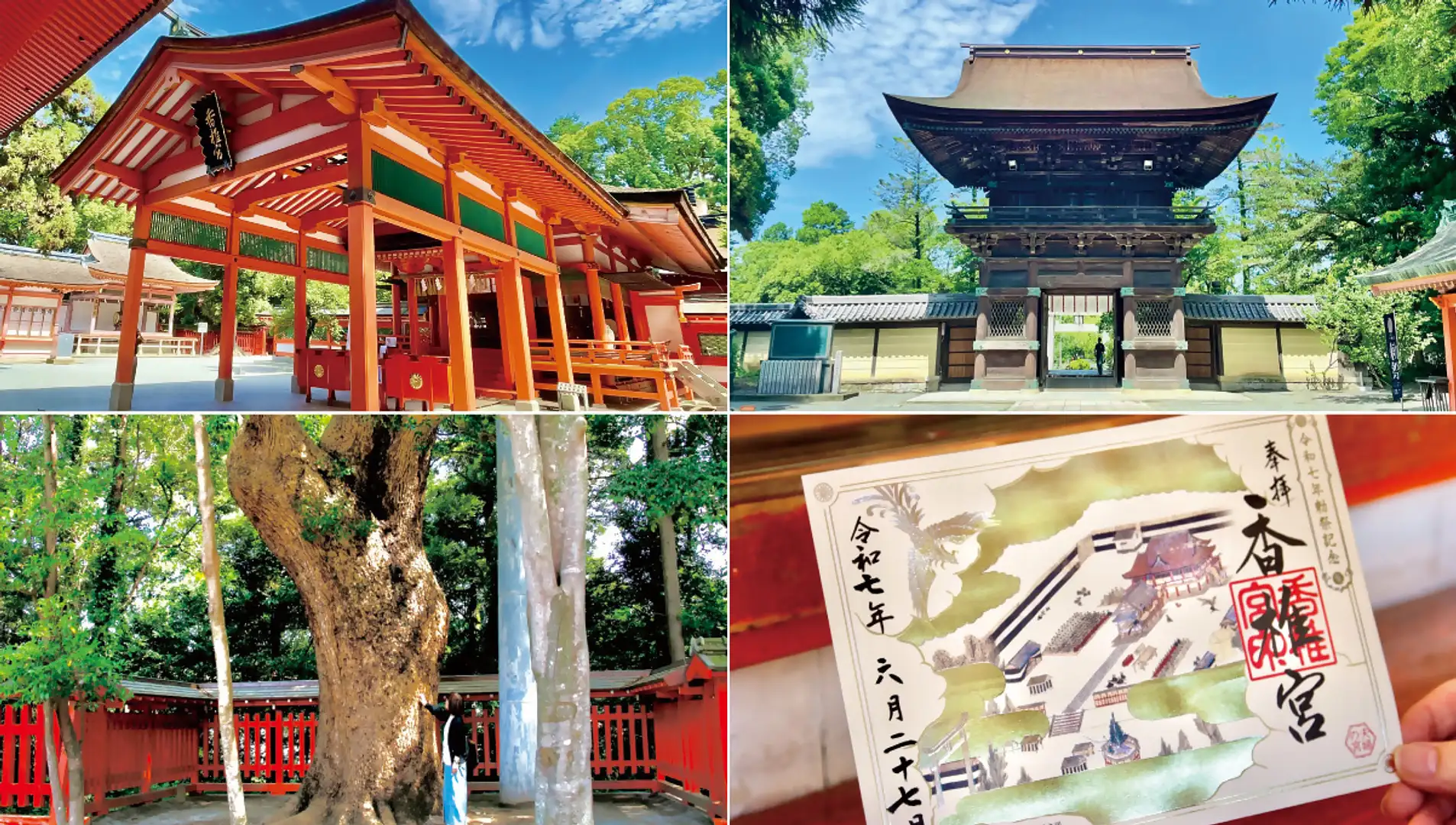 当時のメディア報道・掲載写真