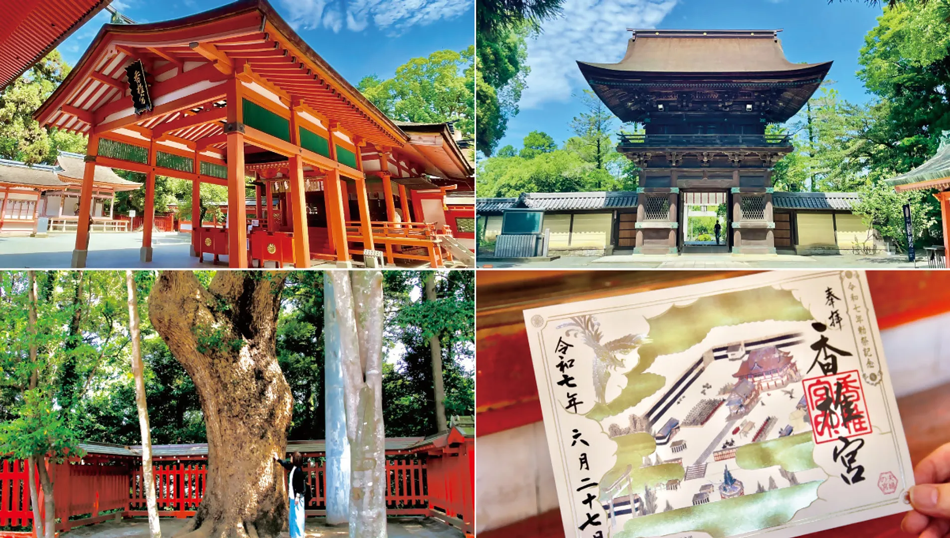 【香椎宮×筥崎宮】香椎宮編