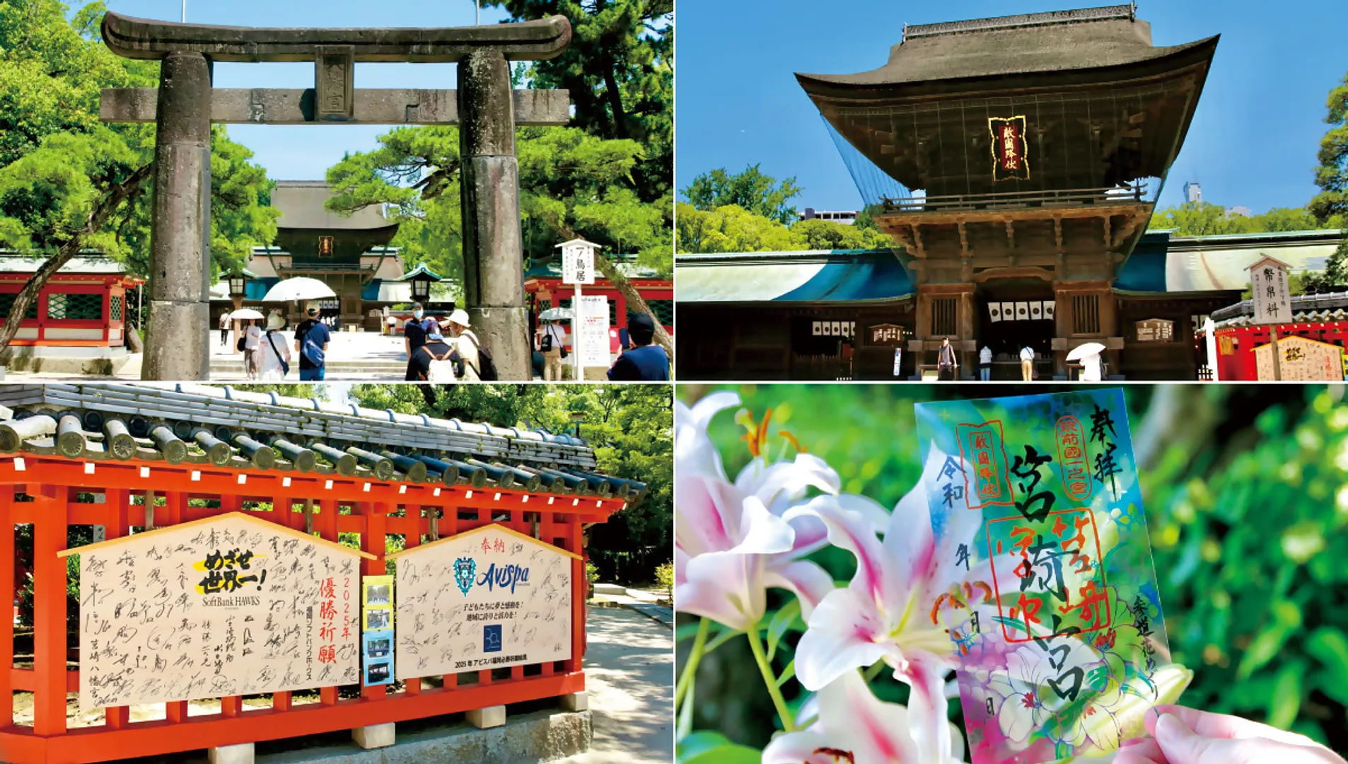 【香椎宮×筥崎宮】筥崎宮編