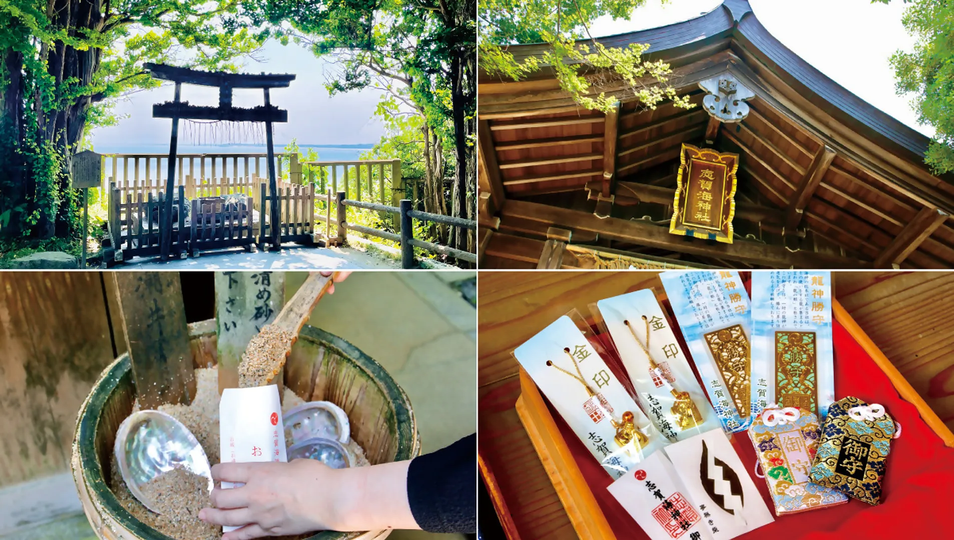 【志賀海神社×住吉神社】志賀海神社編