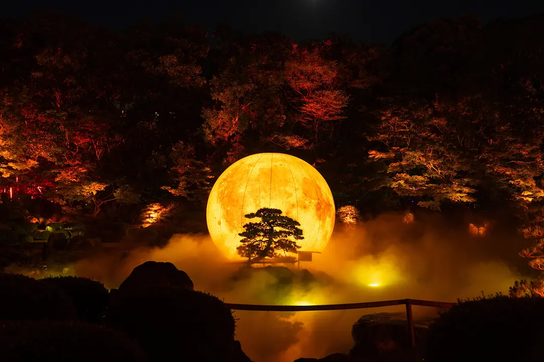大濠公園 日本庭園で出会う、幻想のナイトアート「宙SORA」6