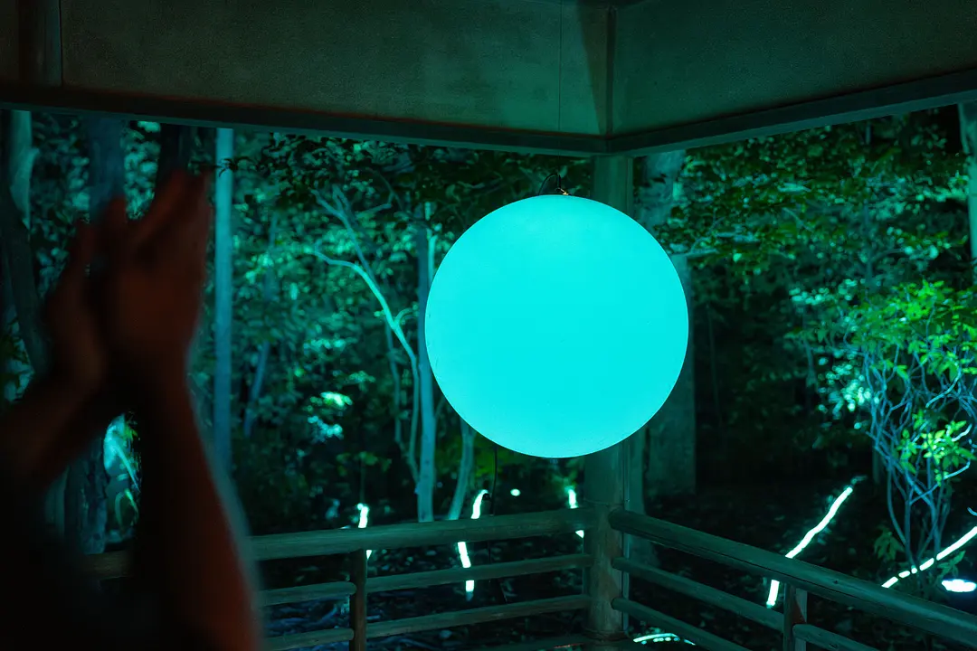 大濠公園 日本庭園で出会う、幻想のナイトアート「宙SORA」7